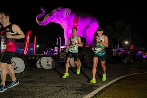 BIB: 
                            <button type="button" onclick="openModal(26534679)" class="btn btn-primary btn-sm float-right btn-popup" data-toggle="modal" data-target=".modal-high-quality">
                        <i class="fas fa-shopping-cart"></i> Add to Cart
                    </button>
                                            <button type="button" onclick="isThisMe(26534679, true)" class="btn btn-success btn-sm float-right btn-popup btn-isme hidden" data-toggle="tooltip" data-placement="bottom" title="นี่คือรูปของคุณใช่ไหม คลิกที่นี่เพื่อเอาเข้าอัลบั้ม">
                        <i class="fas fa-plus"></i> Add to album
                    </button>
                    <button type="button" onclick="isThisMe(26534679, false)" class="btn btn-warning btn-sm float-right btn-popup btn-isnotme hidden">
                        <i class="fas fa-ban"></i> Remove from album
                    </button>